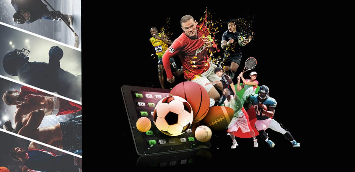 Discover Exciting Opportunities with 7d bet A Comprehensive Overview Discover Exciting Opportunities with 7d bet A Comprehensive Overview