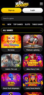 Factors to Choose Success Diggers Gambling Enterprise?
